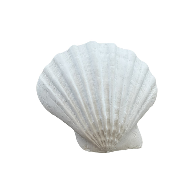Sea Fan Resin Shell
