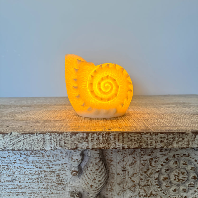 Resin Nautilus Shell Lamp