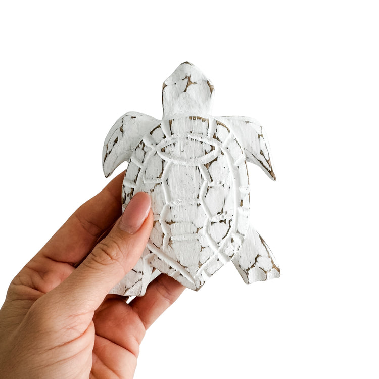 Baby Turtle | 12cm | Assorted Colours