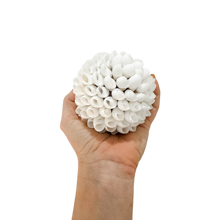 Shell Ball | White Shells | 3 sizes