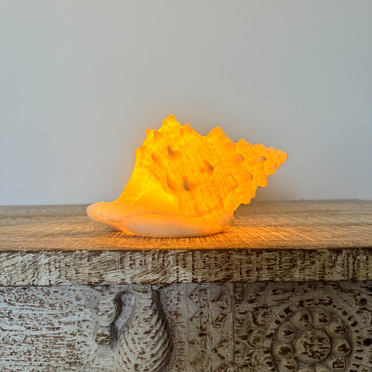 Resin Conch Shell Lamp