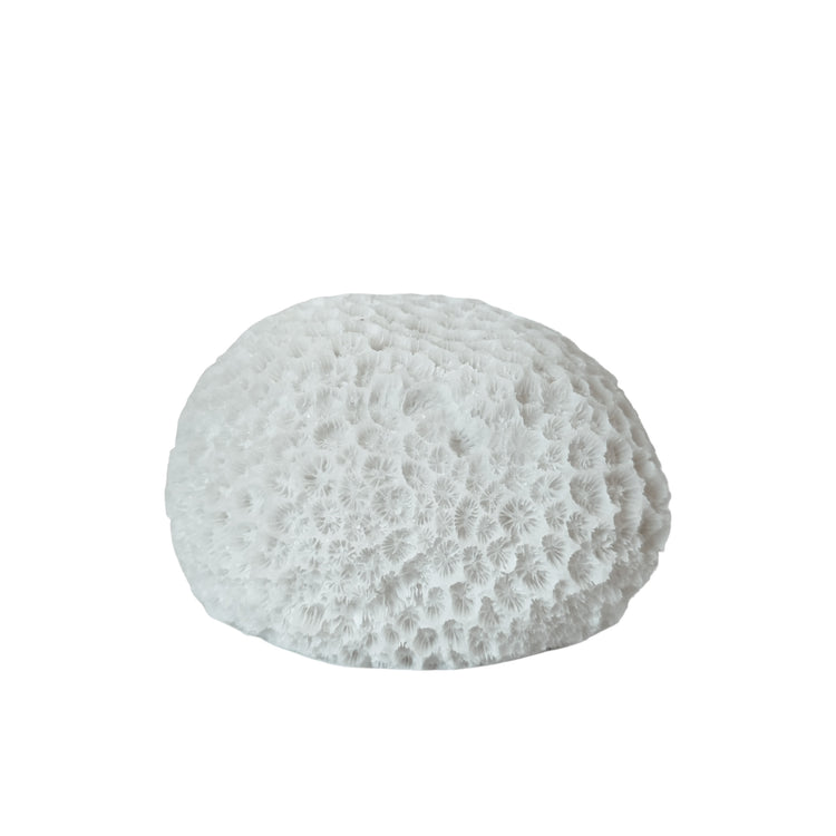 Urchin Mini Outdoor Light C Preorder