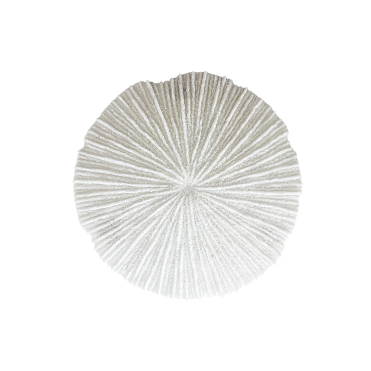 White Coral Disc Wall Hanging | Small