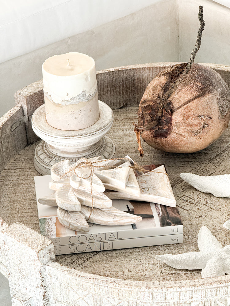 Palm Tree Bundle | Natural