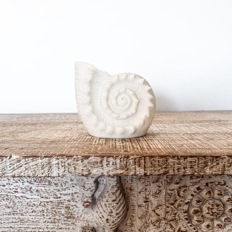 Resin Nautilus Shell Lamp
