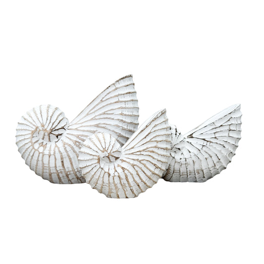 Wooden Nautilus Shell | White | 3 Sizes Available