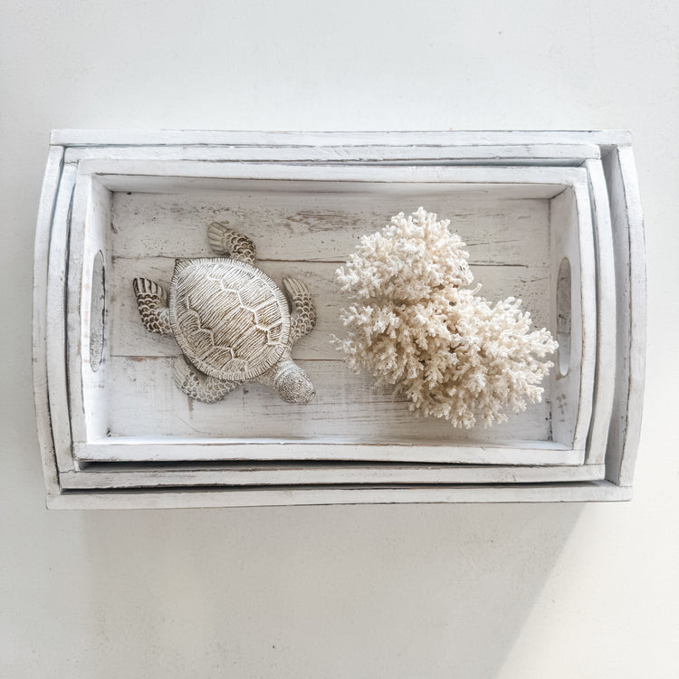 Terry Turtle Resin Ornament