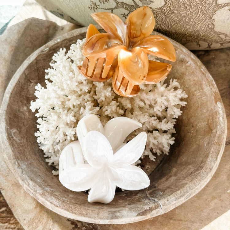 Frangipani Hair Claw Set of 2 | Willow & the Waves Collection