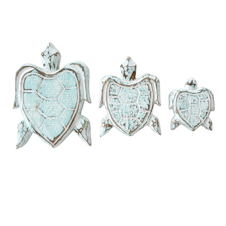 Turtle Bundle | Aqua