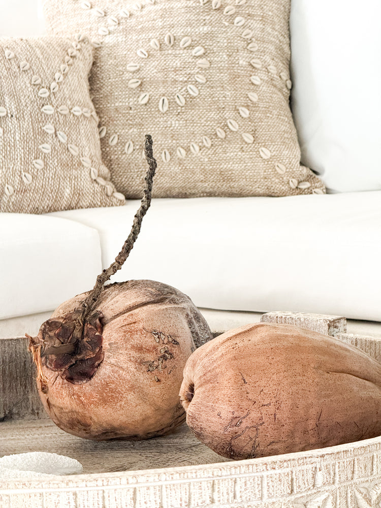 Coconuts | Whole | Sunbleached