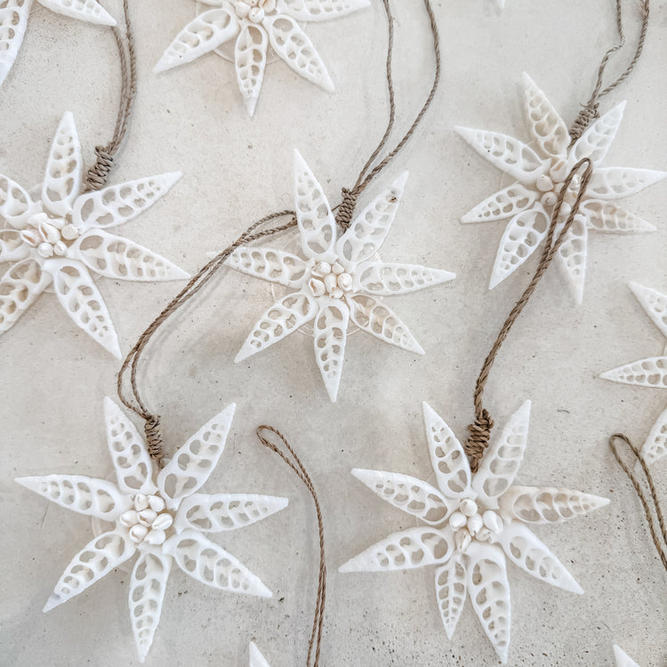 White Star Shell Hanging