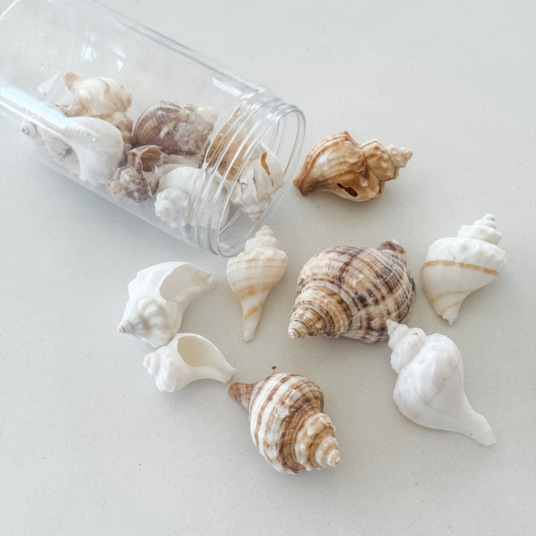 Coastal Shell Jar – 350g Assorted Natural Seashells for Styling & Decor