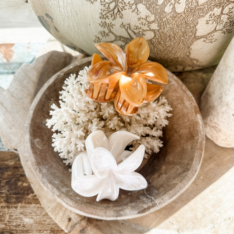 Frangipani Hair Claw Set of 2 | Willow & the Waves Collection