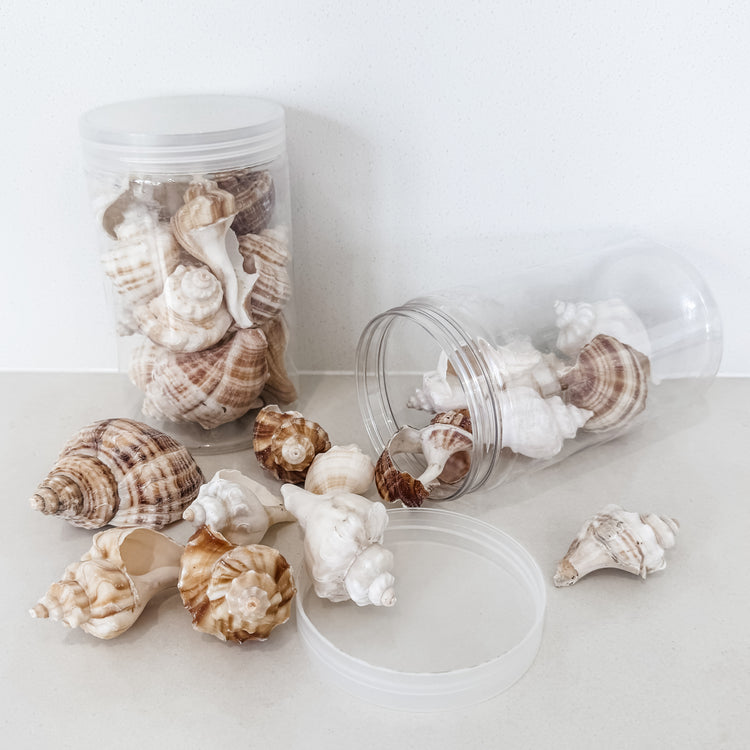 Coastal Shell Jar – 350g Assorted Natural Seashells for Styling & Decor
