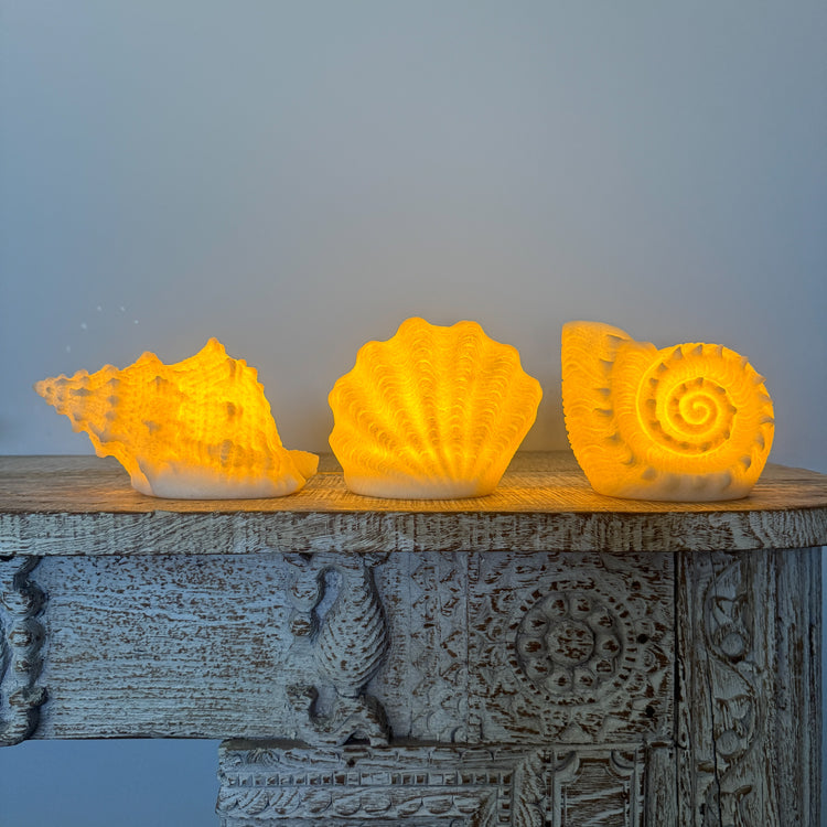 Resin Conch Shell Lamp