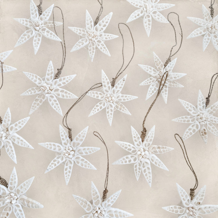 White Star Shell Hanging