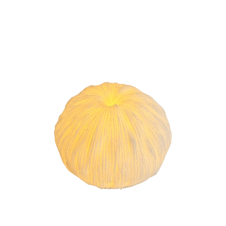 Urchin Mini Outdoor Light A