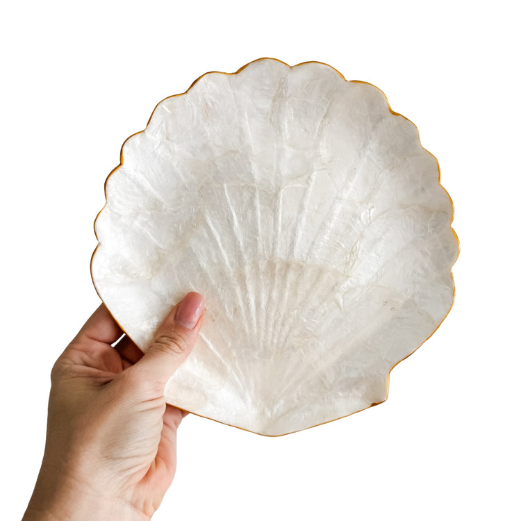 Clam Trinket Plate | 3 Sizes Available