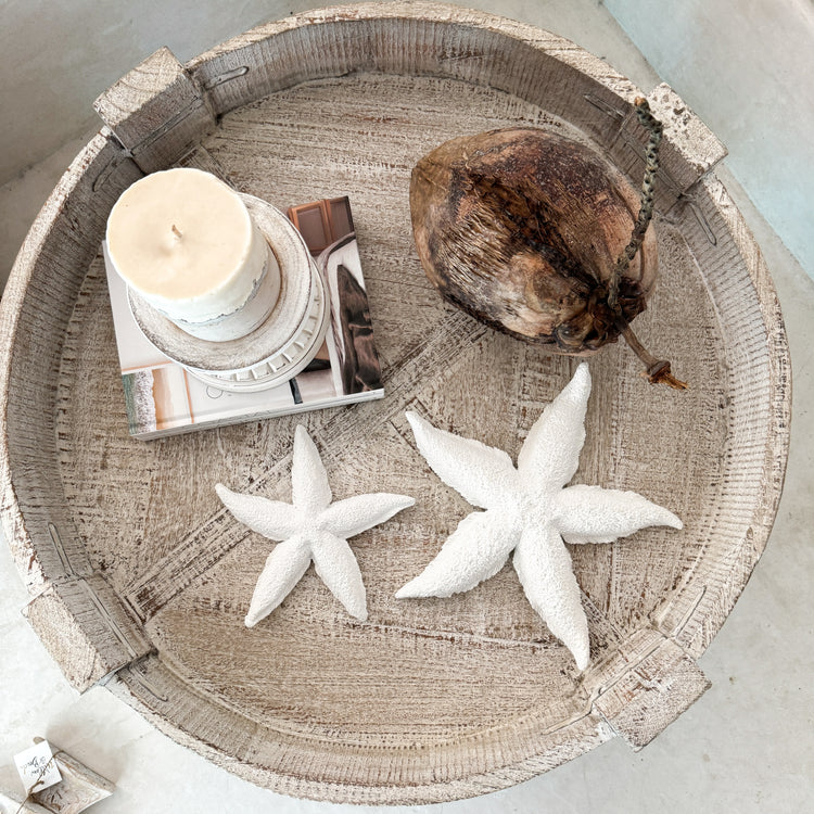 Starfish | Resin | 20cm