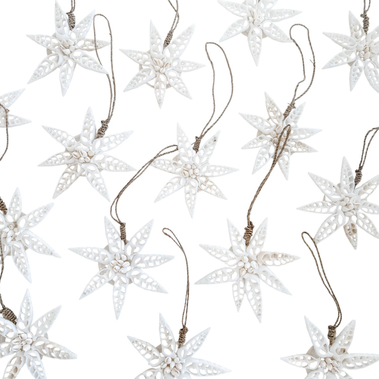 White Star Shell Hanging