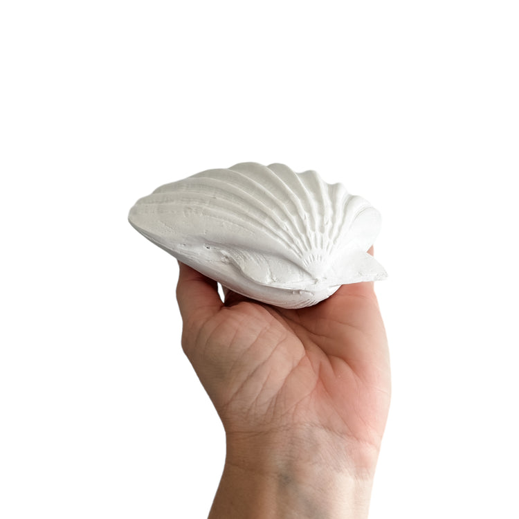 Sea Fan Resin Shell