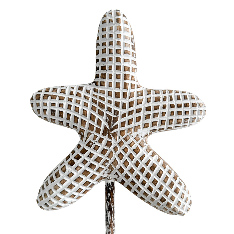 Starfish on Stand| Round | Brown