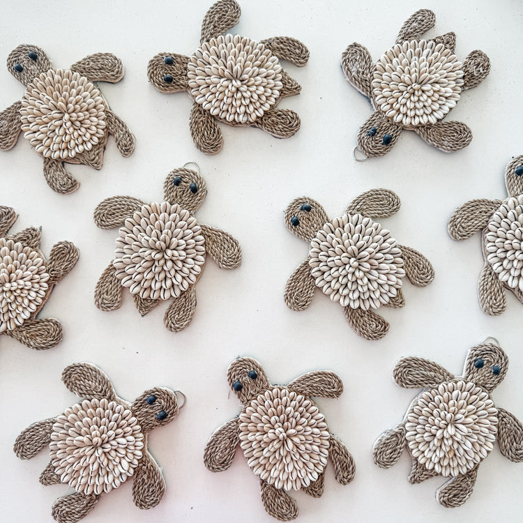 Cowrie Shell Turtle