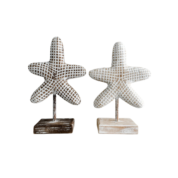 Starfish on Stand| Round | Brown