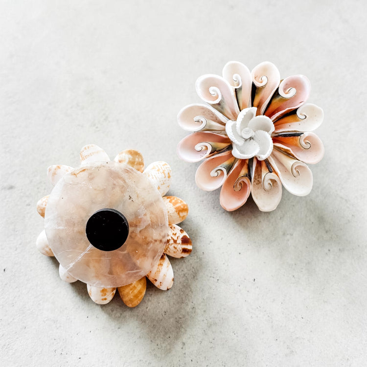 Sunset Spiral Shell Bloom Magnet
