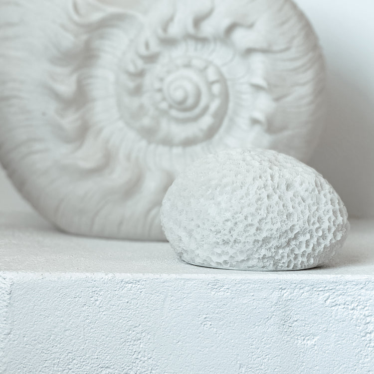 Urchin Mini Outdoor Light C Preorder