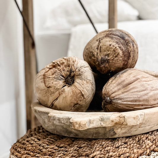 Coconuts | Whole | Sunbleached