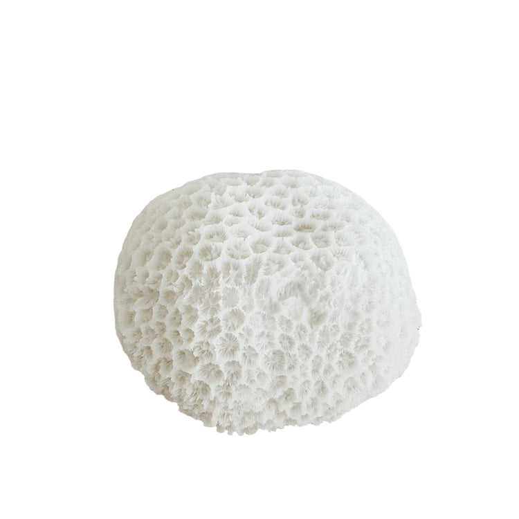 Urchin Mini Outdoor Light C Preorder