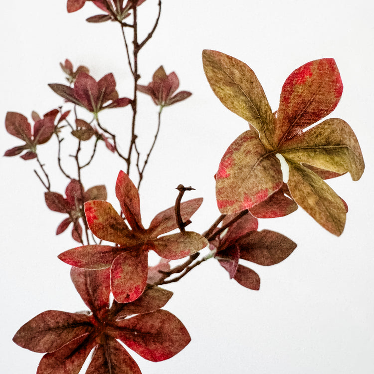 Autumn Eucalyptus Spray