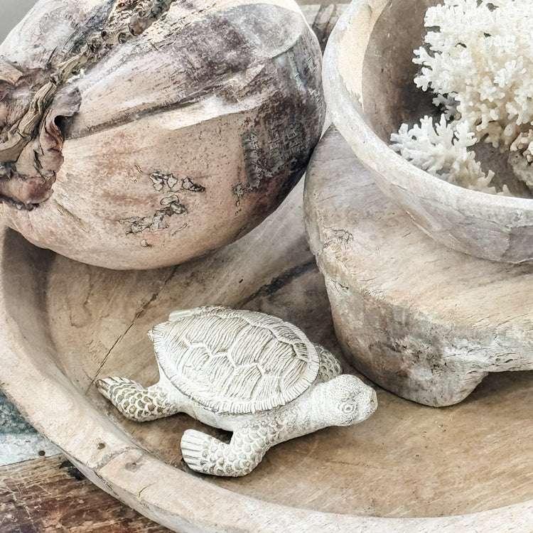 Terry Turtle Resin Ornament