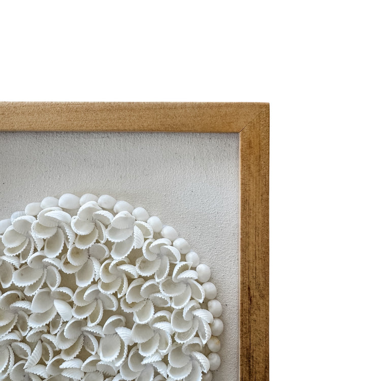 Coastal Shell Bloom Wall Art