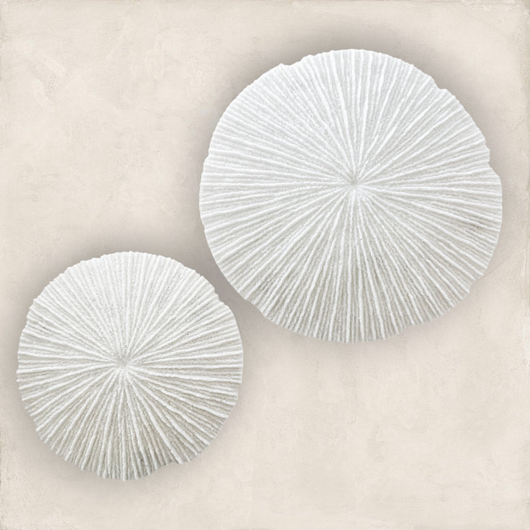 White Coral Disc Wall Hanging | Small