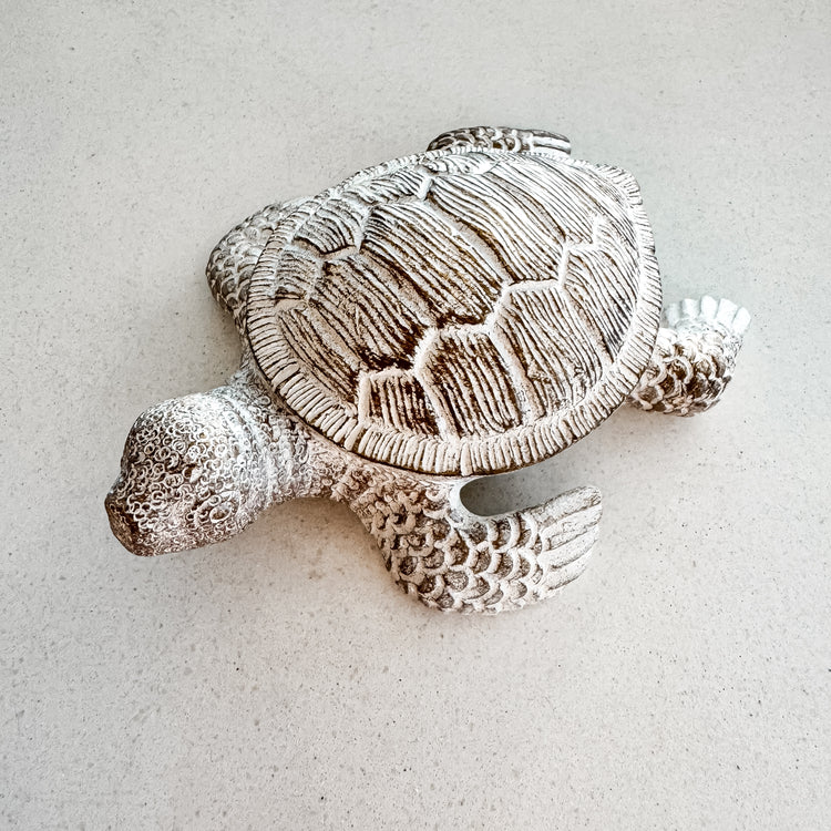 Terry Turtle Resin Ornament