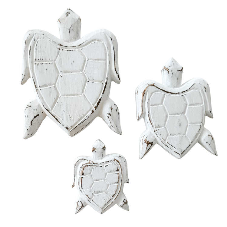 Turtle Bundle | White