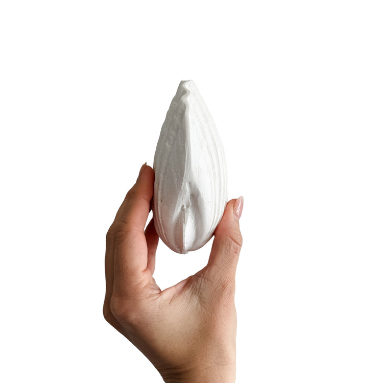 Sea Fan Resin Shell