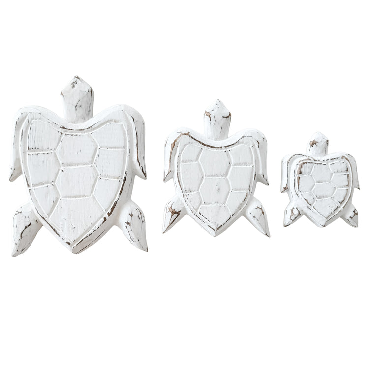 Turtle Bundle | White