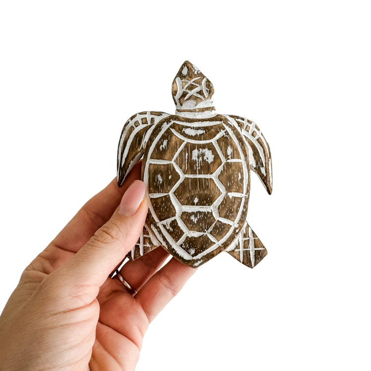 Baby Turtle | 12cm | Assorted Colours