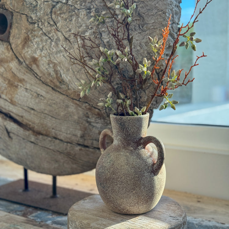 Amara Rustic Twin-Handle Pot | 18.5 cm