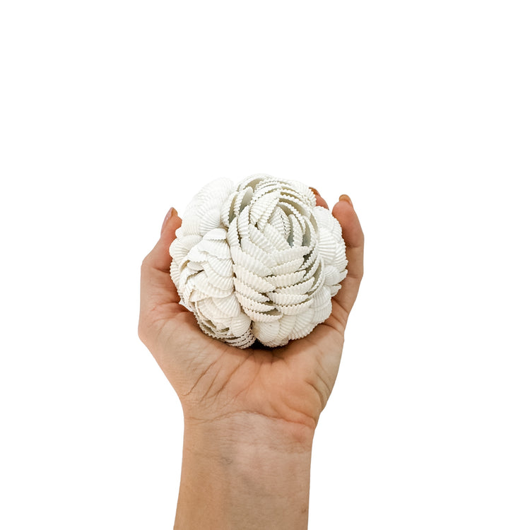 Shell Ball | Rose | 3 sizes