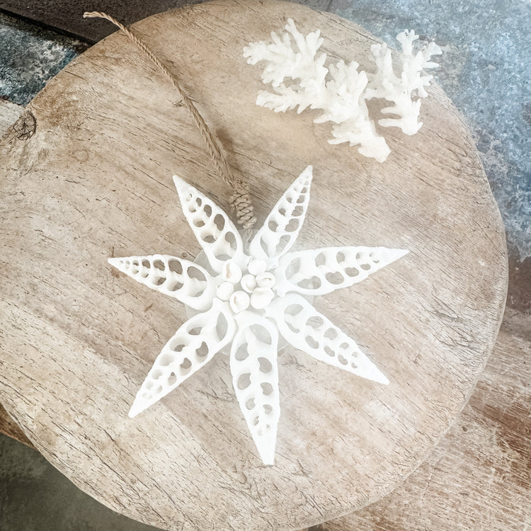 White Star Shell Hanging