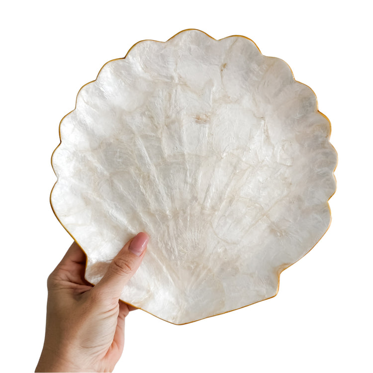 Clam Trinket Plate | 3 Sizes Available