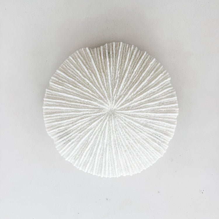 White Coral Disc Wall Hanging | Small