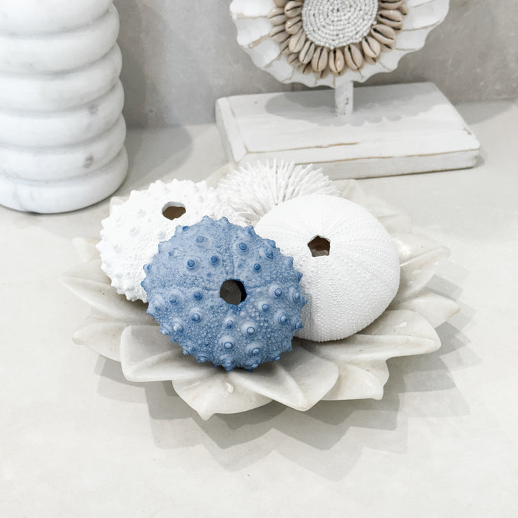 Blue Spiky Urchin Coral Resin
