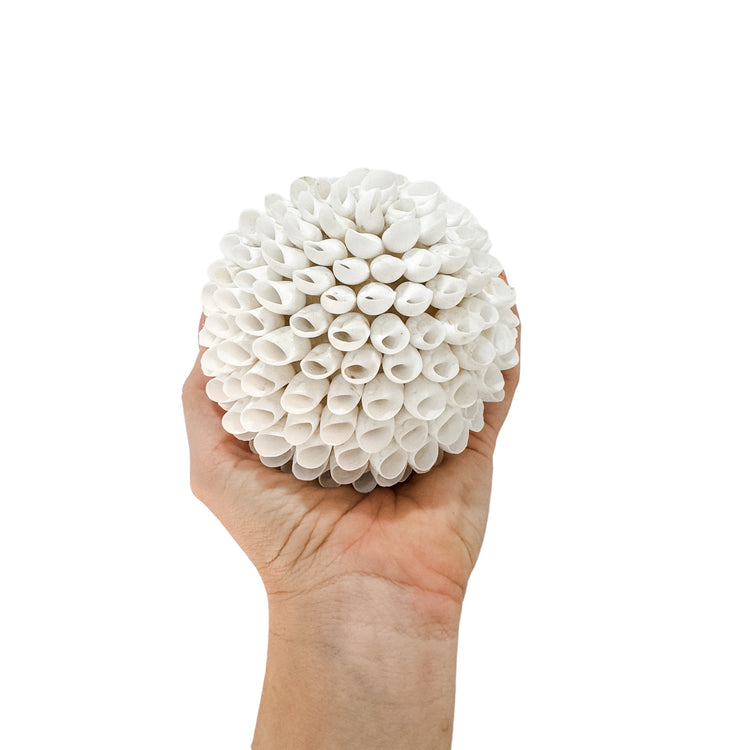 Shell Ball | White Shells | 3 sizes