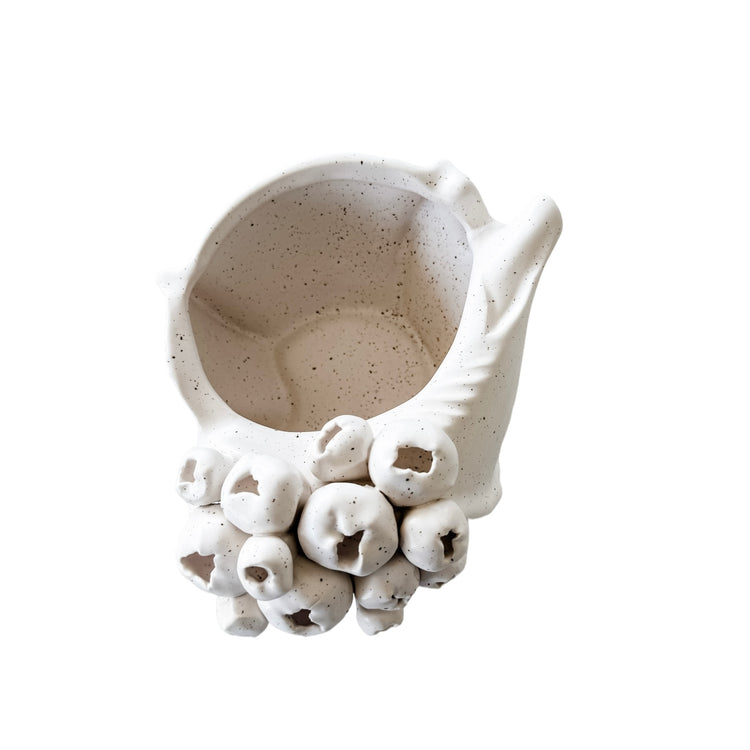 Barwon Ceramic Shell Scultpure | Small Preorder
