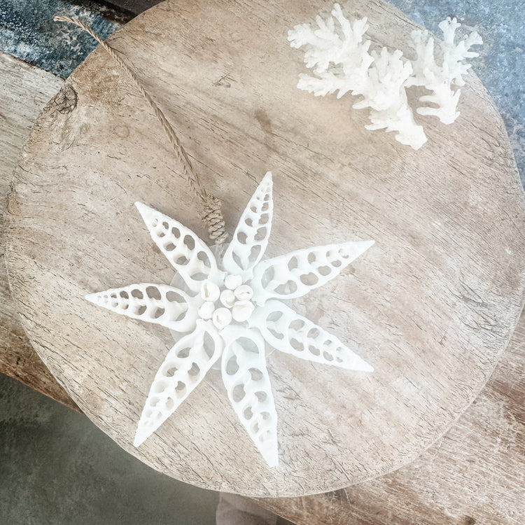 White Star Shell Hanging